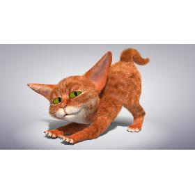 Red cat (Rigged) 3D model
